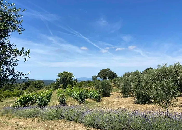 Tenuta Le Mandorlaie, Agriturismo in Scansano
